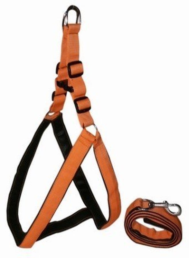 Pet Believe Nylon Dog Harness & Leash Set with Padding 1.25 inch Large -(Chest Size - 28-34) (Large, Brown)